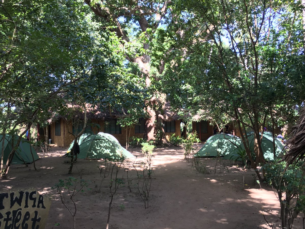 HKenya17's tweet photo. Arrived safely at camp muhaka. Loving the monkeys. 🐒 https://t.co/sPn3YxHNJp