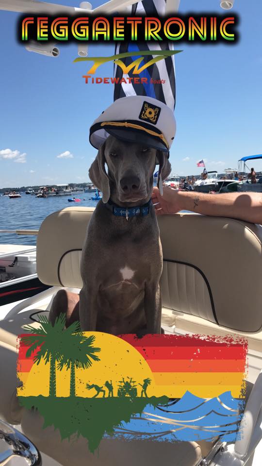 ReggaetronicSC's tweet photo. #repost Cristin M.

"Captain Otto enjoyed his Saturday on the water! See y'all next year!"

#reggaetronic

TAG us in your photos! https://t.co/njfwJuB5tf