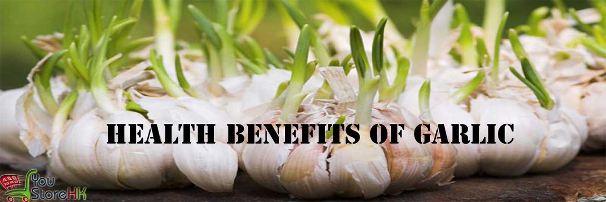 YouStoreHK's tweet image. By #youstorehk #Hongkong #BenefitsofGarlic #FromtheBlog #AtYstore
youstorehk.com/index.php/blog…