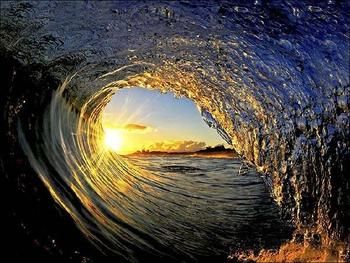 derosnayjoel's tweet photo. La vague parfaite des surfeurs, le tube, décrit une spirale de Fibonacci https://t.co/7YMZPcoHUY