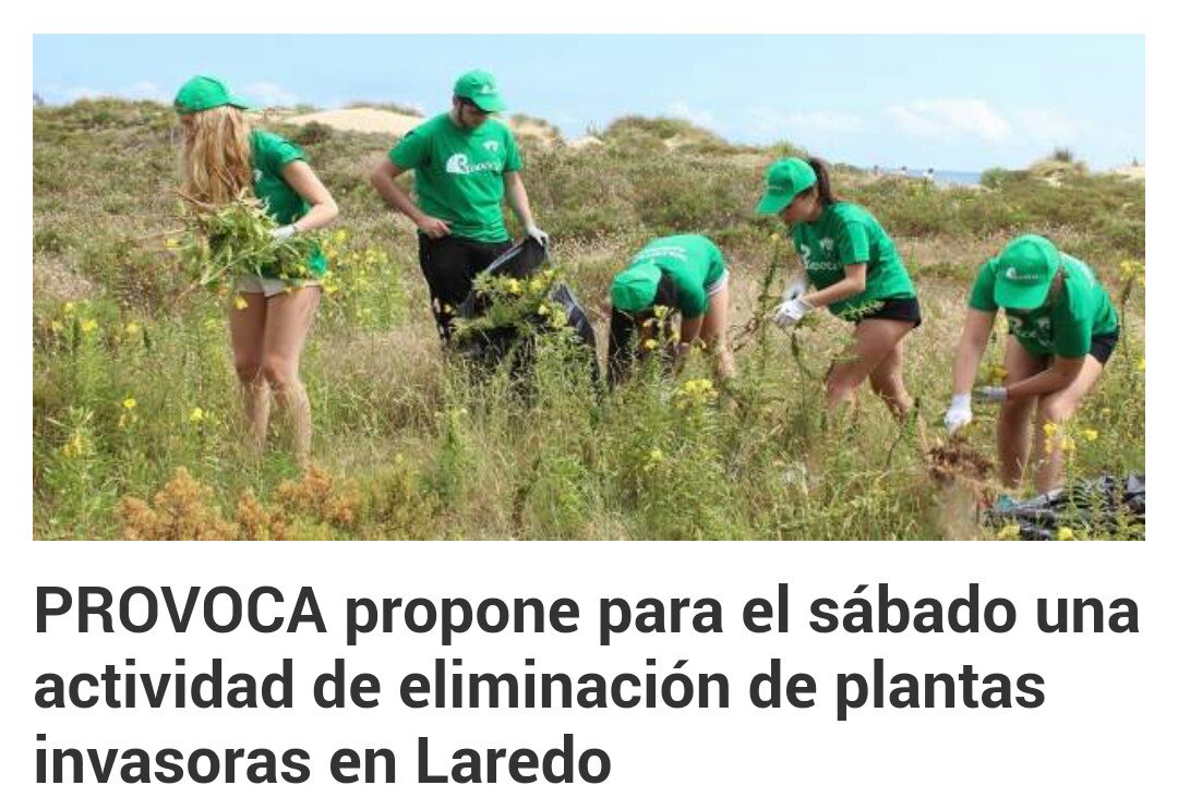 PROVOCA organiza el sábado una actividad para eliminar plantas invasoras de las dunas de la playa Salvé de #Laredo. 
m.20minutos.es/noticia/309293…