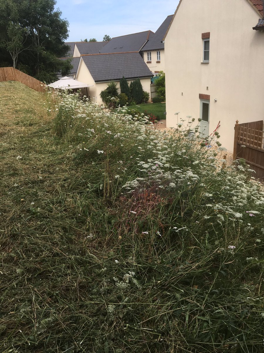 revvit1's tweet photo. Well that was hard work ! https://t.co/pvddjMZ7K9