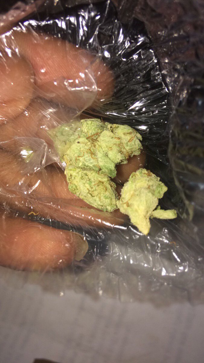 LughxJuiceg9's tweet photo. #diesel #gasedup #kush https://t.co/KAYNwbmIrL
