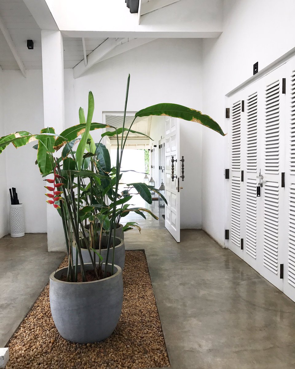 Gorgeous interiors <a href="/ArabellaOnBooss/">ArabellaOnBoossa</a> #boutiquehotels#srilanka #hotels #LifeWellTravelled #wanderlust