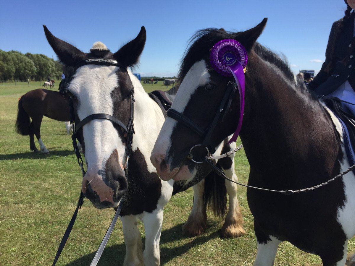 Talullah_Beth's tweet photo. So proud of my little team  #proudmum  #horses #summer #fun ❤️❤️ https://t.co/l6k1gDMTMd