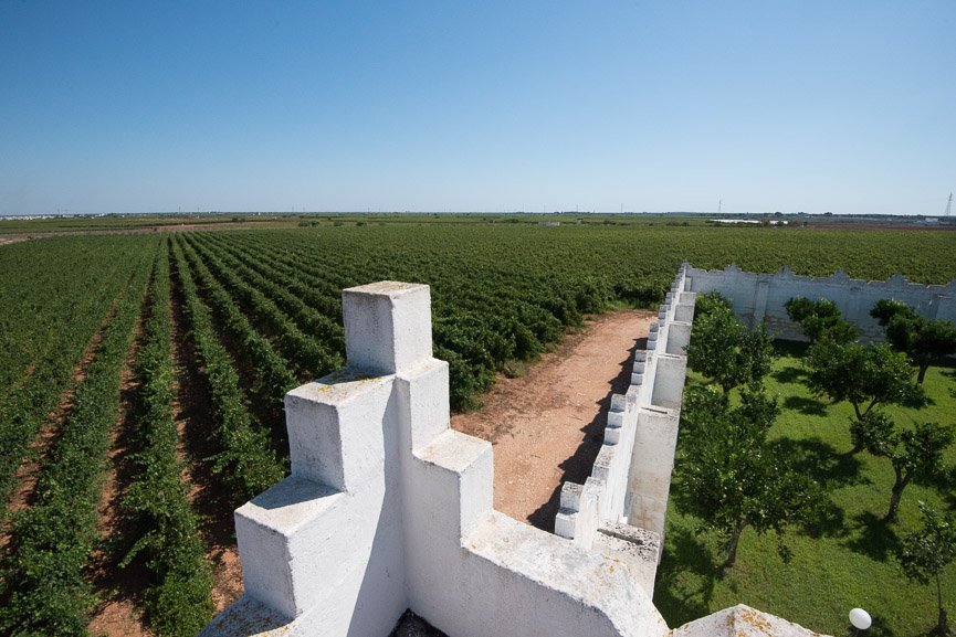 Tommasiwine's tweet photo. Masseria #Surani owned by the Tommasi Family is located in Manduria and is also known as the "City of Messapi" and of the #Primitivo. https://t.co/xri0h2zRwN