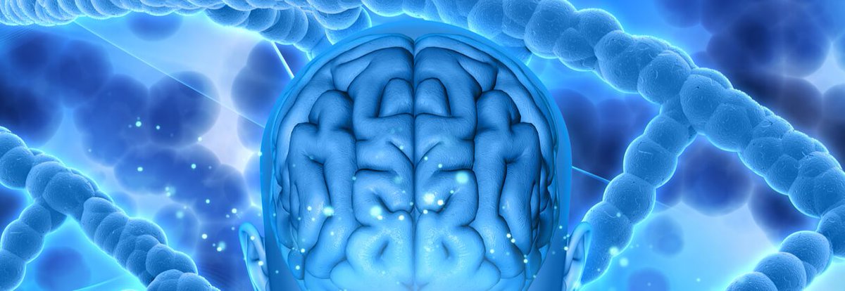 Labiotech_eu's tweet photo. British Scientists Find a #DNA Mechanism to Prevent ALS and #Alzheimer’s https://t.co/WfBVeoryZN #Biotech https://t.co/xmhmJlBj7X