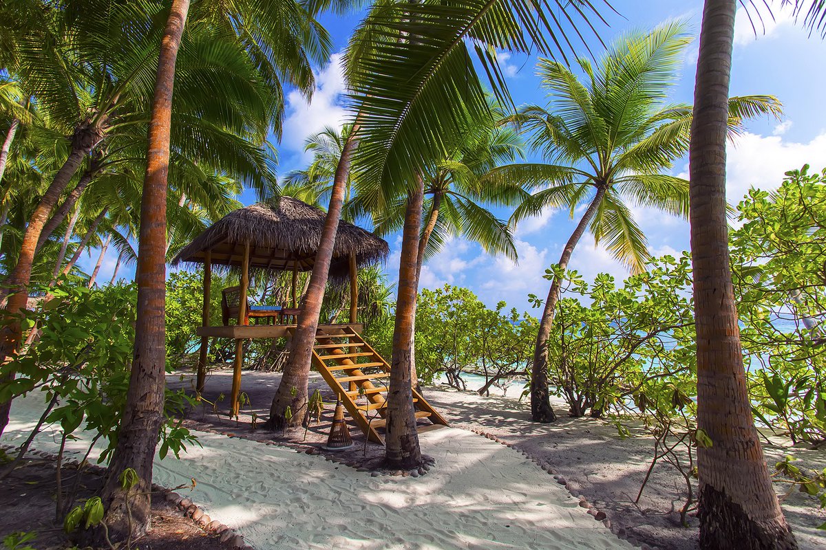 WTravelAwards's tweet photo. Surround yourself by the colours and surprises of #nature!

aaaVeee Nature's Paradise - #Maldives' Leading Green Resort 2017 https://t.co/VlKOMZU4th