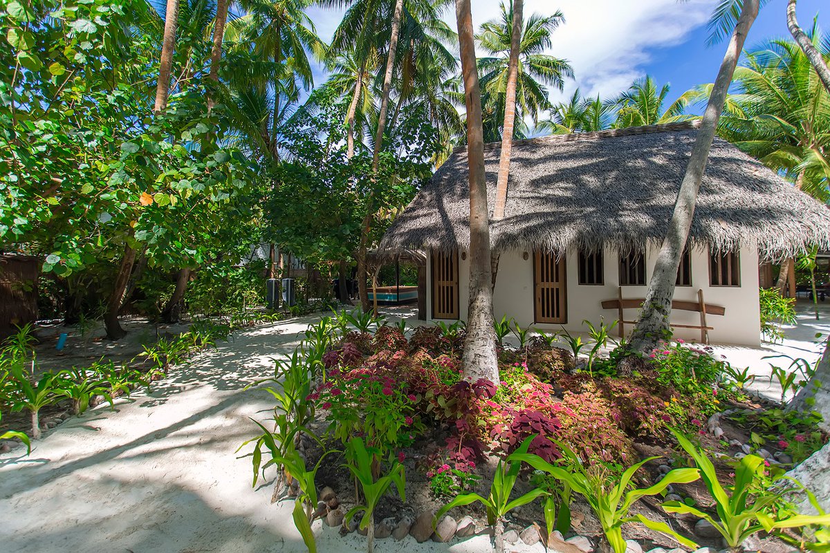 WTravelAwards's tweet photo. Surround yourself by the colours and surprises of #nature!

aaaVeee Nature's Paradise - #Maldives' Leading Green Resort 2017 https://t.co/VlKOMZU4th