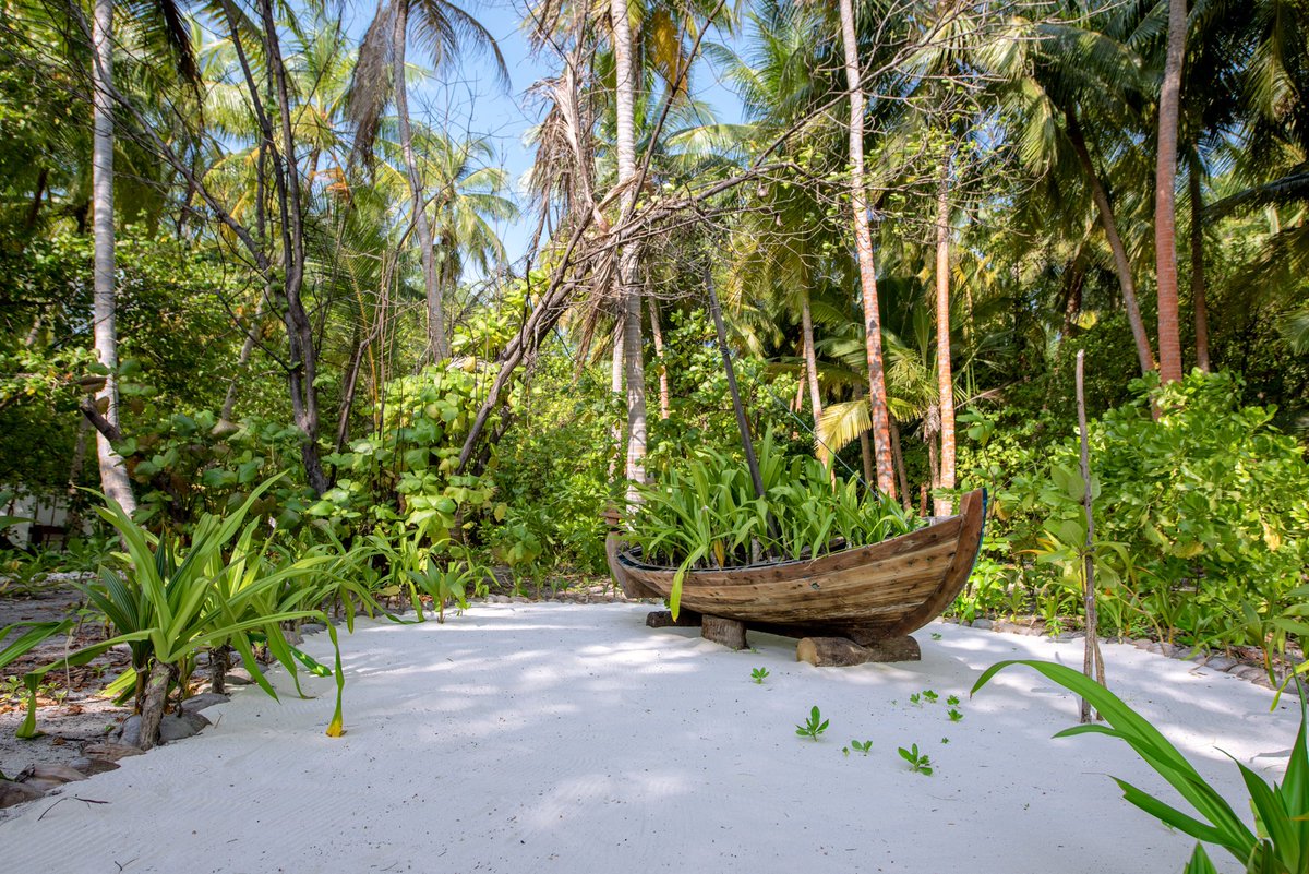 WTravelAwards's tweet photo. Surround yourself by the colours and surprises of #nature!

aaaVeee Nature's Paradise - #Maldives' Leading Green Resort 2017 https://t.co/VlKOMZU4th