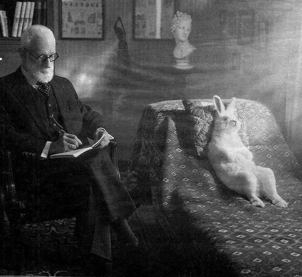 inthemoodfortw's tweet photo. “So, you say her name was Alice?” https://t.co/rOWHfe2m7i