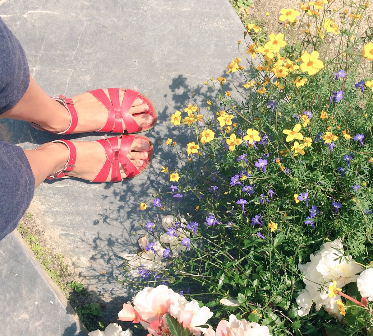 sianannalewis's tweet photo. Heavenly #Heligan, exploring with @serpentineshore #gardensofheligan #cornwall #summer https://t.co/0ZMvHn9BhI