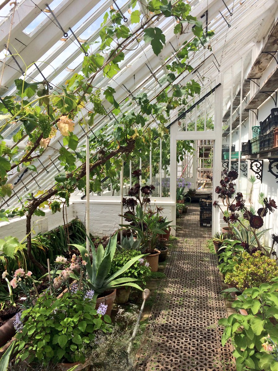 sianannalewis's tweet photo. Heavenly #Heligan, exploring with @serpentineshore #gardensofheligan #cornwall #summer https://t.co/0ZMvHn9BhI