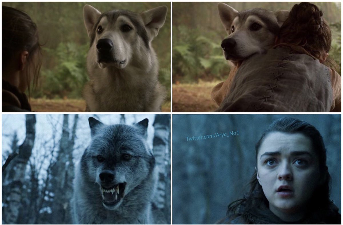 Arya_No1's tweet image. Season 1 ➡️ Season 7
#GameOfThrones #ATimeForWolves