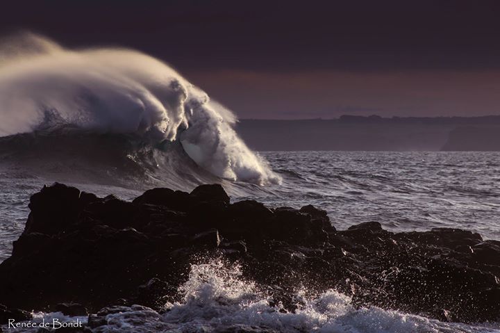 UneartheDesigns's tweet photo. The Ocean <3 https://t.co/zgRWjuWa2y
