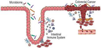 Mucosal_Immunol's tweet photo. Specific Peptide Surface Coating: A Hint to Tune the #Inflammatory Response of Nano Crystals
#Issue_release
https://t.co/mWdCKG37eq https://t.co/t5a9QmUDSc