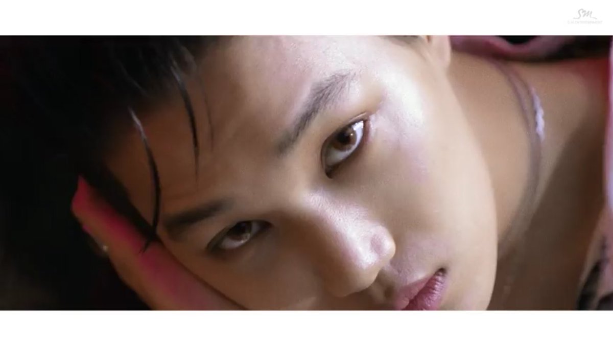 sirsuhololo's tweet photo. IS THIS A STARING CONTEST https://t.co/hcbnP8GgNN