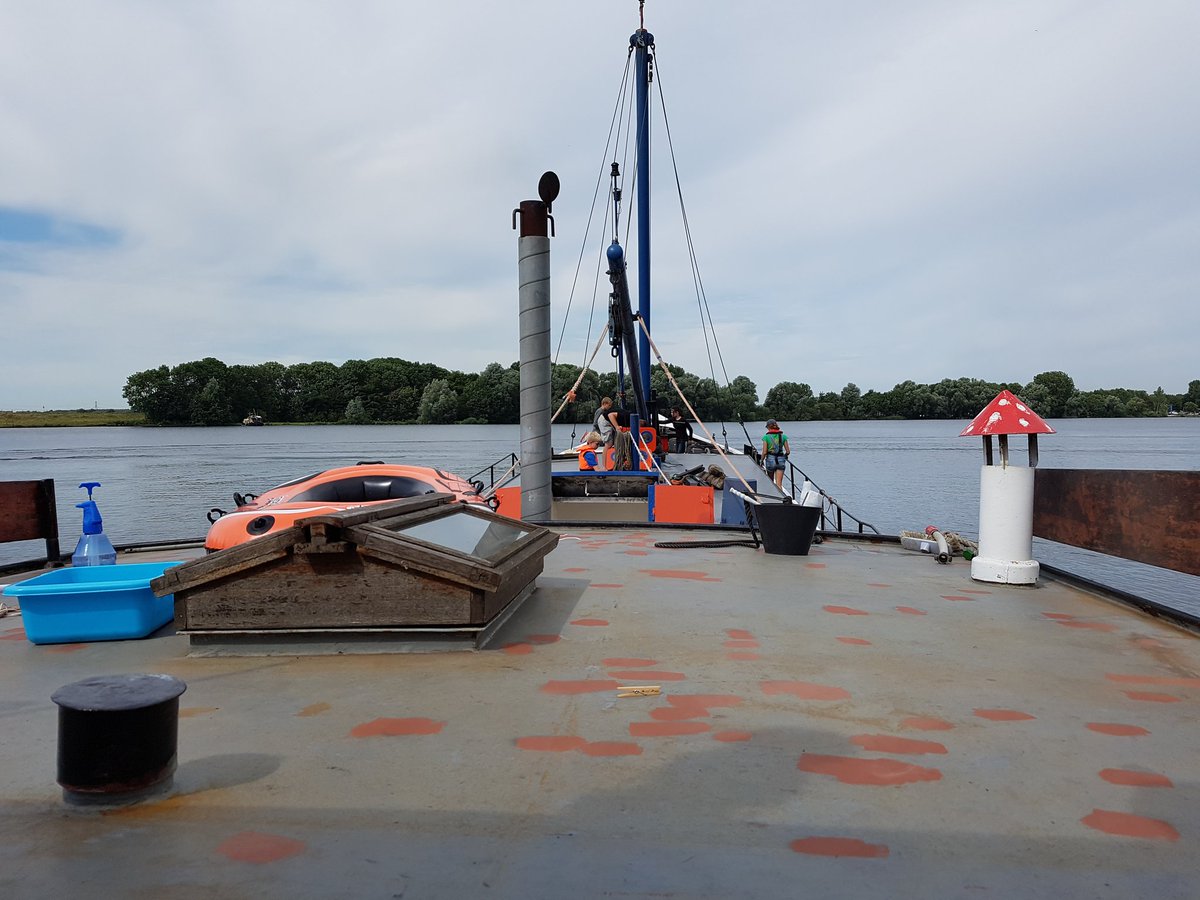 WaterscoutsBvH's tweet photo. Opweg naar Schiedam. Grote schoonmaak tijdens het varen kan uiteraard niet ontbreken! #waterscouts #zomerkamp2017 https://t.co/vnvubqyztS
