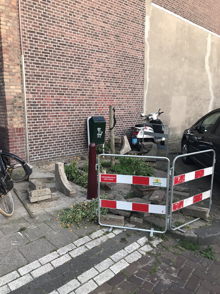 Mooi Scheveningen. Nieuwe boom? Buren hebben er zelf al 1 ingezet. Die weg 4 Gemeenteboom! Logisch toch??? #gemeentedenhaag # Scheveningen