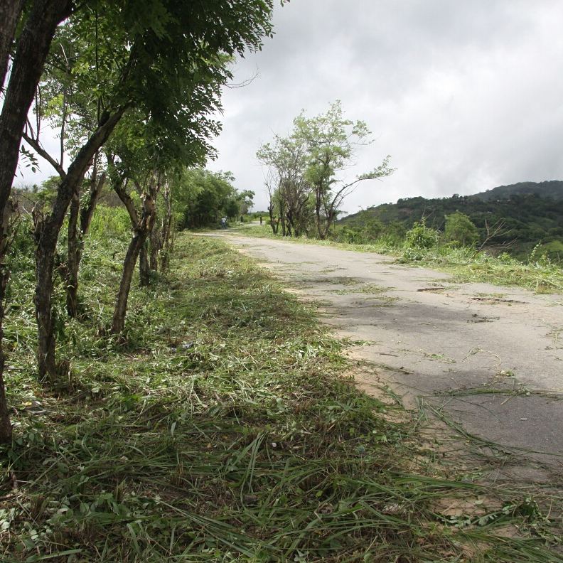 DIMCI_Bermudez's tweet photo. Alcaldía de Bermúdez realizar jornada de desmalezado en la carretera Chipichipe Maturincito @JulioRPSUV @EdwinRojasM #GestiónParaElPueblo https://t.co/j5yCH3DHof