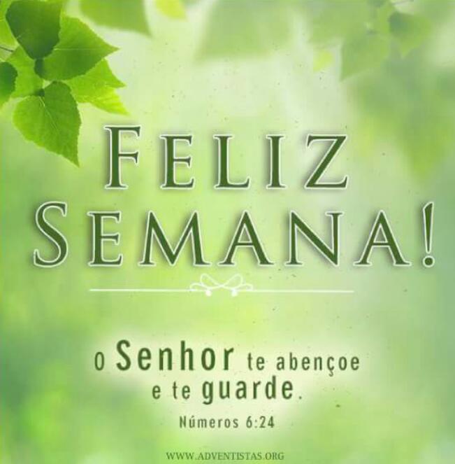 xande tim beta (@xandebeta5731) on Twitter photo 