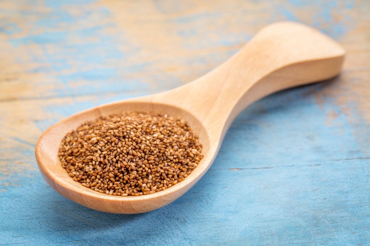 diyhealthremedy's tweet photo. 9 Amazing Benefits Of Teff Grain

https://t.co/039qxjHNVn

#diyhealthremedy #teffgrain #benefitsofteffgrain https://t.co/MF4zM8gUTB