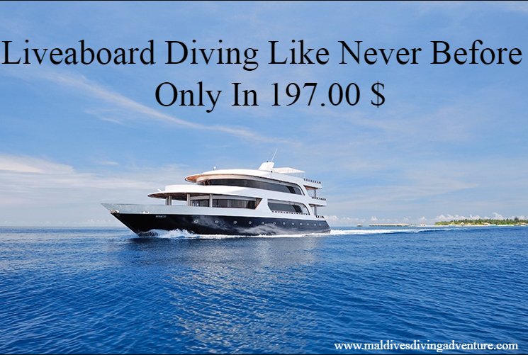 #Liveaboard #diving like never before, and #adventure is promised. Come and explore the warm waters of the Ocean. maldivesdivingadventure.com