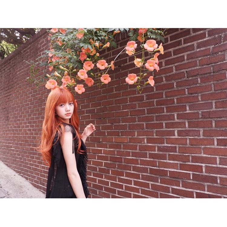 BLINK___YG's tweet photo. 01Ln￤ラリサ寄り🌹￤濃ゆ絡み希望

#BLINKさんと繋がりたい
#BLACKPINK好きな人と猛烈に絡みたいのでこれを見た人はRTしてください
#BLACKPINK好きな方と繋がりたいのでBLACKPINK好きな方はRTお願いします
#BLACKPINK好きな人と繋がりたい https://t.co/6fEWOPrAEh