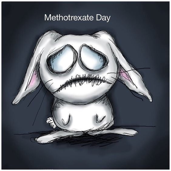 WombleKiwi's tweet photo. Damn awful day thanks #methotrexate๐คข Must be something safer to take - oh wait there is but it's still illegal ๐ฐ#MedicalMarijuana #PsAsucks https://t.co/5hw52OIAIK