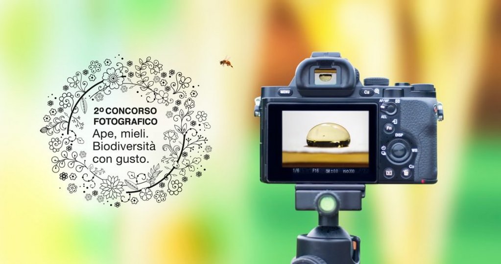 Ami le #api il #miele e la #fotografia? Partecipa al nuovo contest fotografico #icolorideimieli su #instagram instagram.com/p/BWrwOT_Htwp/…