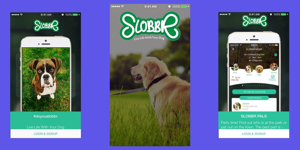 elasticode's tweet photo. @DoYouSlobbr helps #doglovers find restaurants, hotels, parks that accept their best friends. #onboarding #HeyUser https://t.co/MLBVHja4A8 https://t.co/FYIYsWqCDt