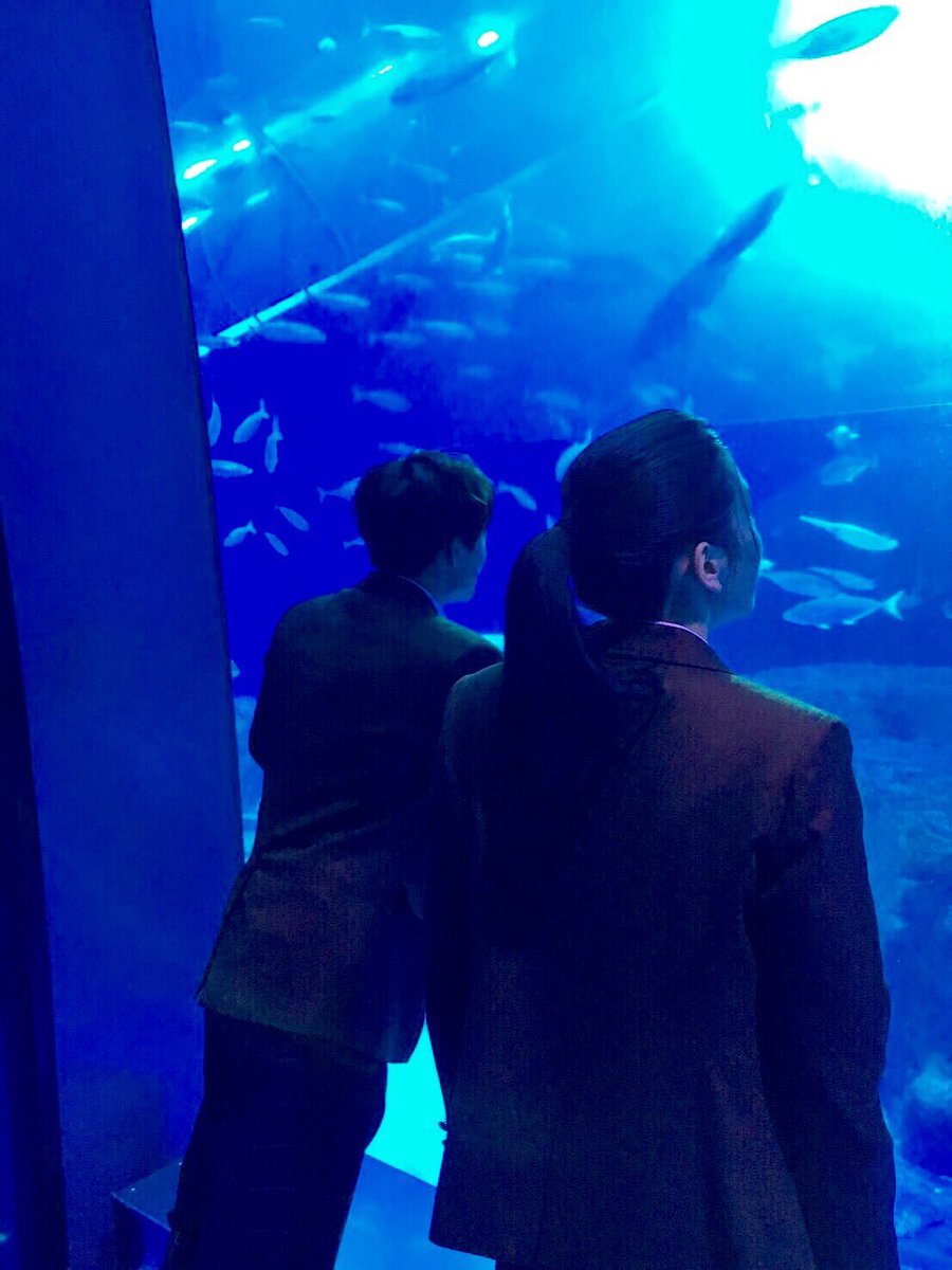 GENERATIONS_75's tweet photo. 「ひるなかの流星」Blu-rayとDVDの発売が決定しました！✨
是非ゲットしてください🙌
https://t.co/OWREv5koDj

ALAN https://t.co/1sPyTPdTZ9