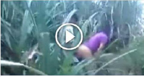 Video Free Download By Linkaty Us Best Url Shortening Services To - now shortening all links are long linkaty is one of the best url shortener linkaty being online