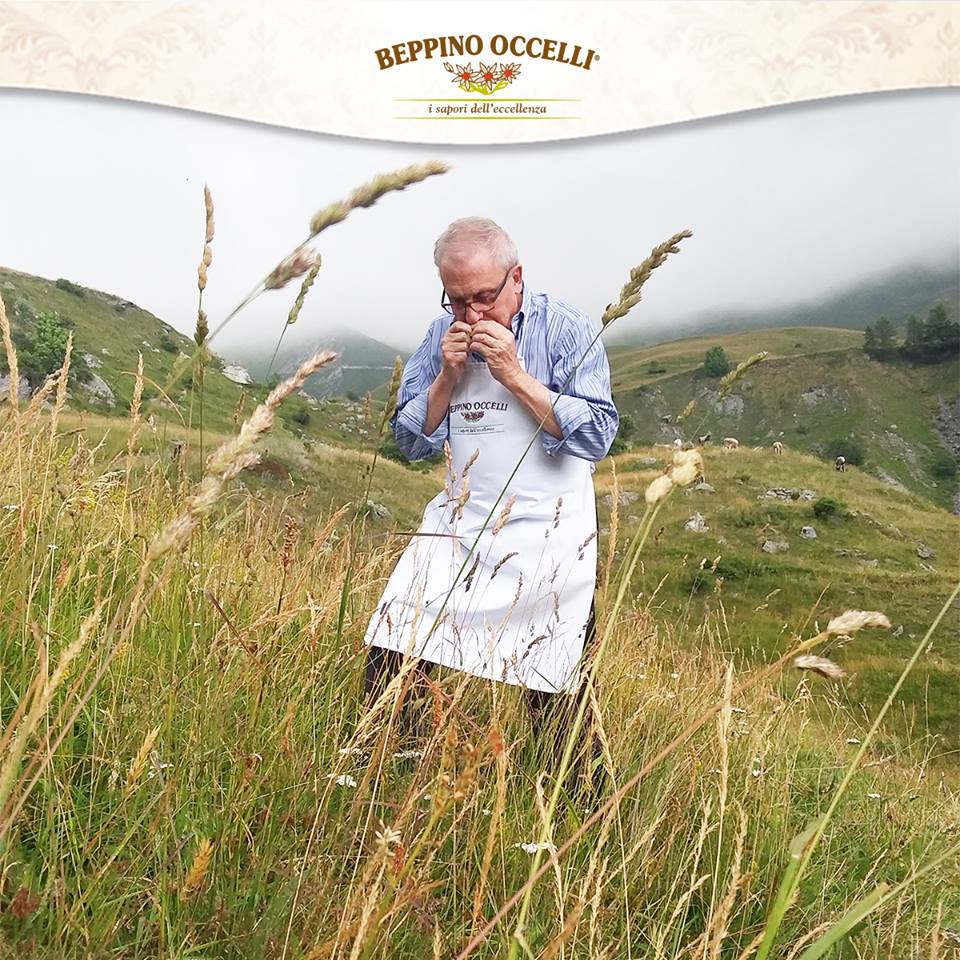 #cartolinedaglialpeggi  Per avere un  #latte eccellente sono necessari #prati ricchi di essenze floreali #occelli #burrooccelli #pascoli