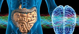 ACANational_WP's tweet photo. #GutGarden is key to overall well-being. Balance the bacteria in your gut - add probiotics, plant based whole foods and manage stress. https://t.co/XjomnhPnpq