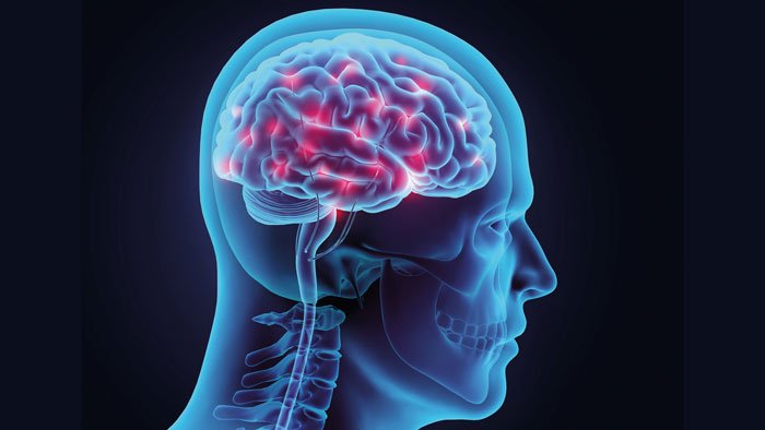 We've updated our Seizure Classification information to reflect the new ways of organising and naming seizures - epilepsy.org.uk/info/seizures/…