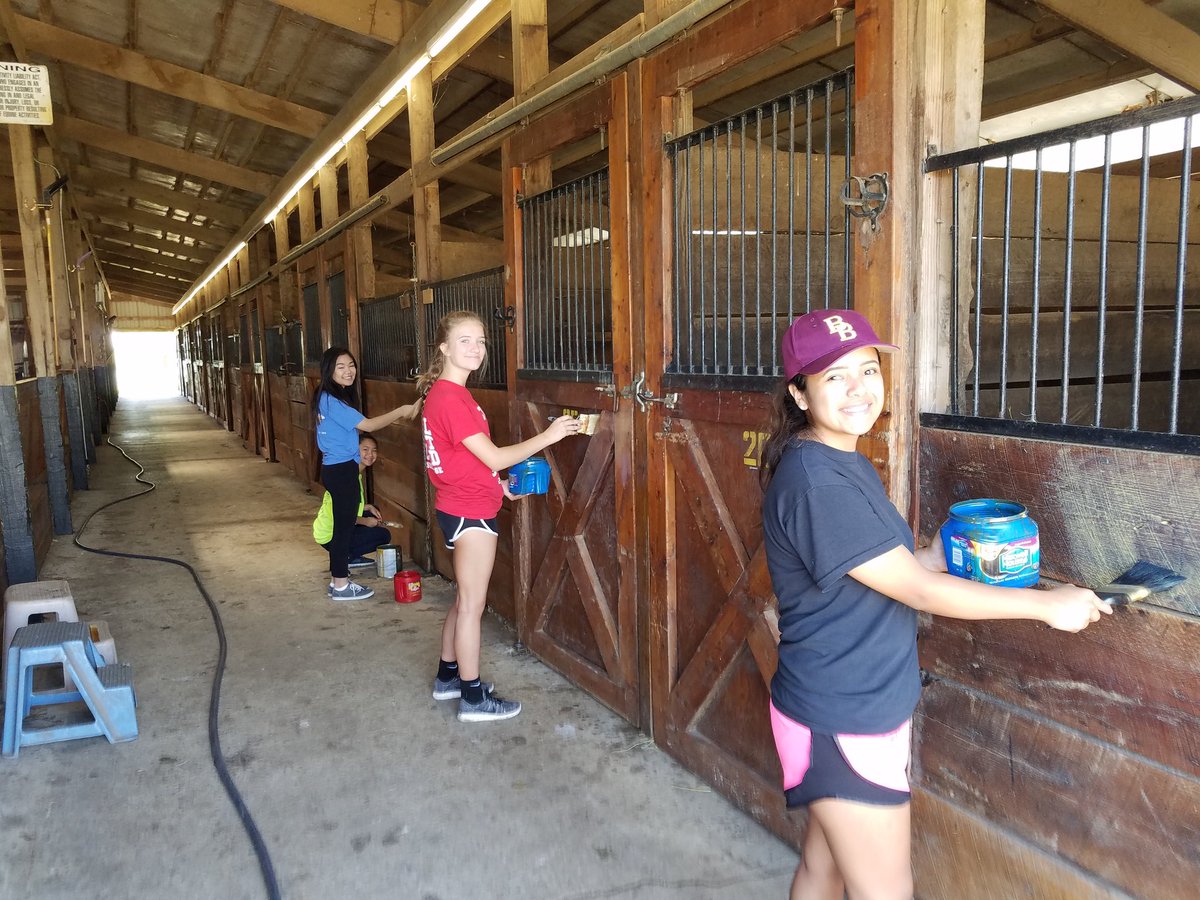 hapimom54's tweet photo. Good Morning from us out here at Illinois Horse Rescue! We received a beautiful greeting today!  #CampMOSH2017 https://t.co/FsIqTn0nFz