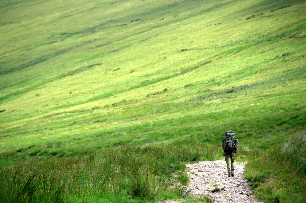 The Royal Yorkshire Regiment tweet media