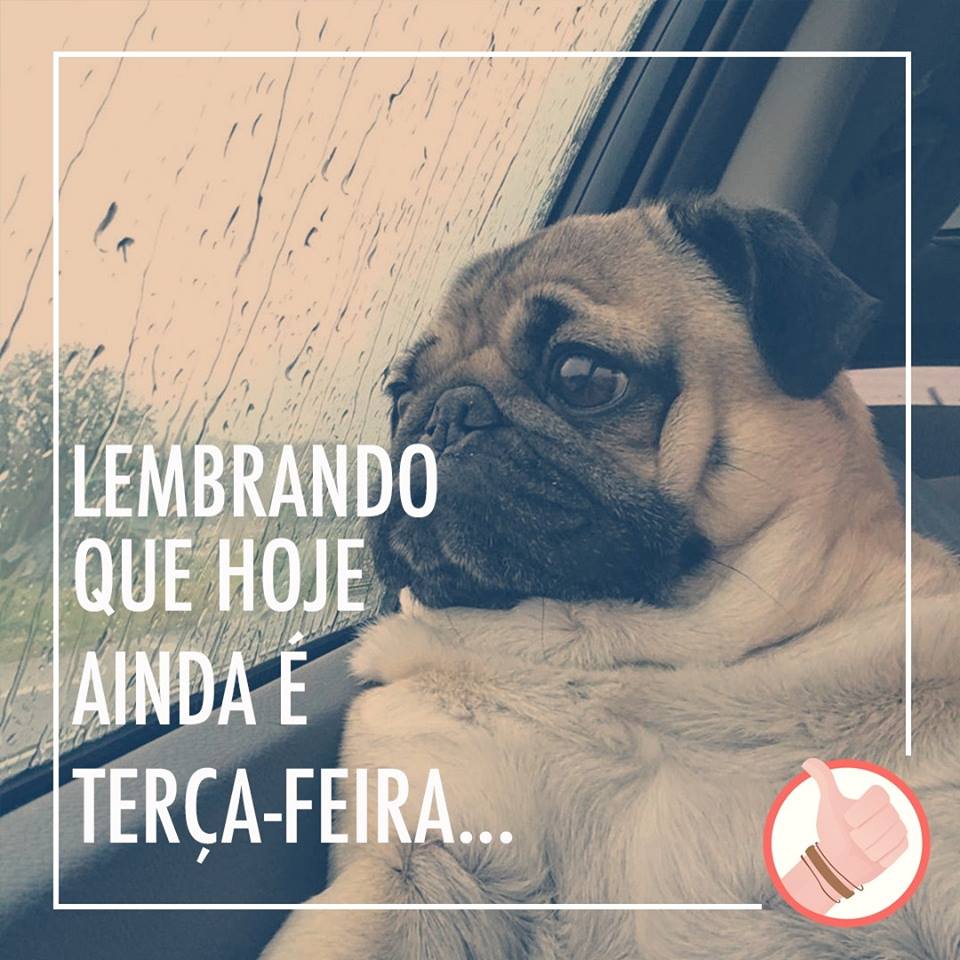 Boralá?! tweet media