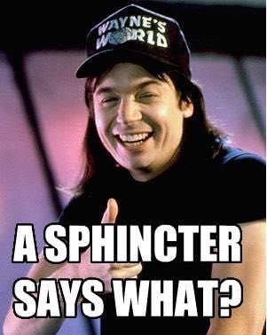 Save 15% for our first 20 customers code : asphinctersayswhat