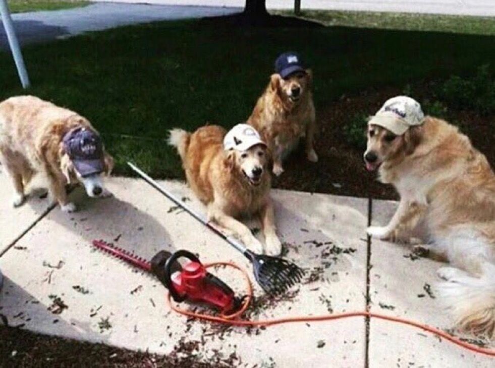 MensHumor's tweet photo. Just 4 dad's doing dad stuff being dads https://t.co/qVu8SoD61C