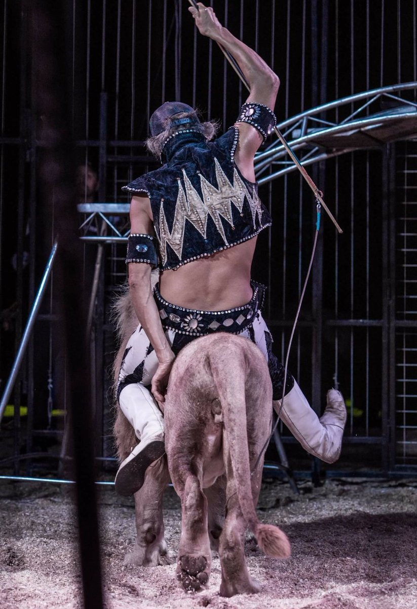 StopKillingAnimals tweet media