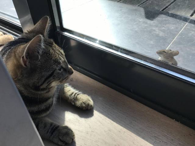JVCom's tweet photo. Quand le loot est visible mais pas accessible https://t.co/DzegvyHYfi