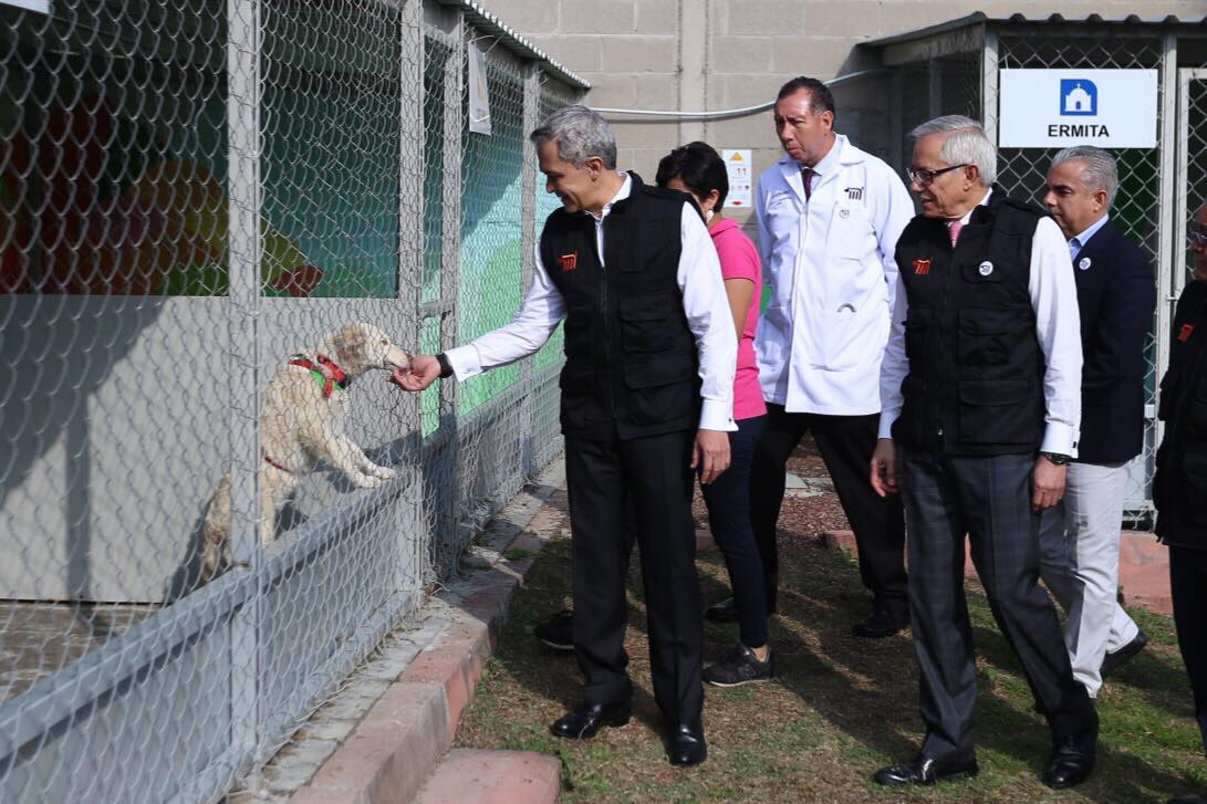 ManceraMiguelMX's tweet photo. El Centro de Transferencia Canina brindará apoyo a perros rescatados en el @MetroCDMX, que se encuentren en situación de abandono #mm https://t.co/WIe9pV9vIe