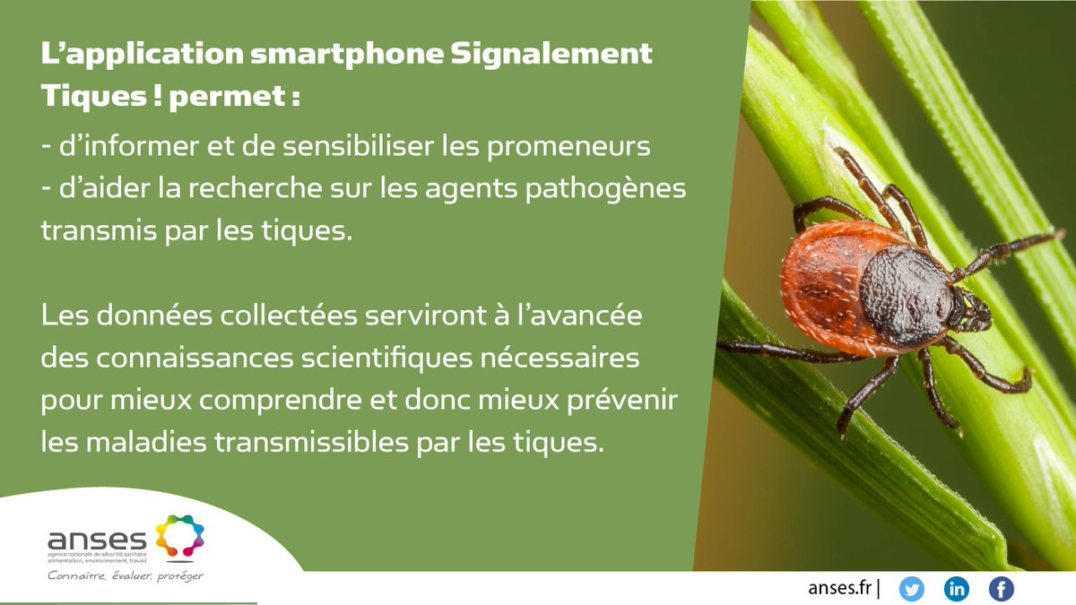 Anses_fr's tweet photo. Participez à la recherche pour combattre les pathogènes transmis par les #tiques en utilisant Signalement-Tiques ! #RechercheParticipative https://t.co/VnMKXWoKRT