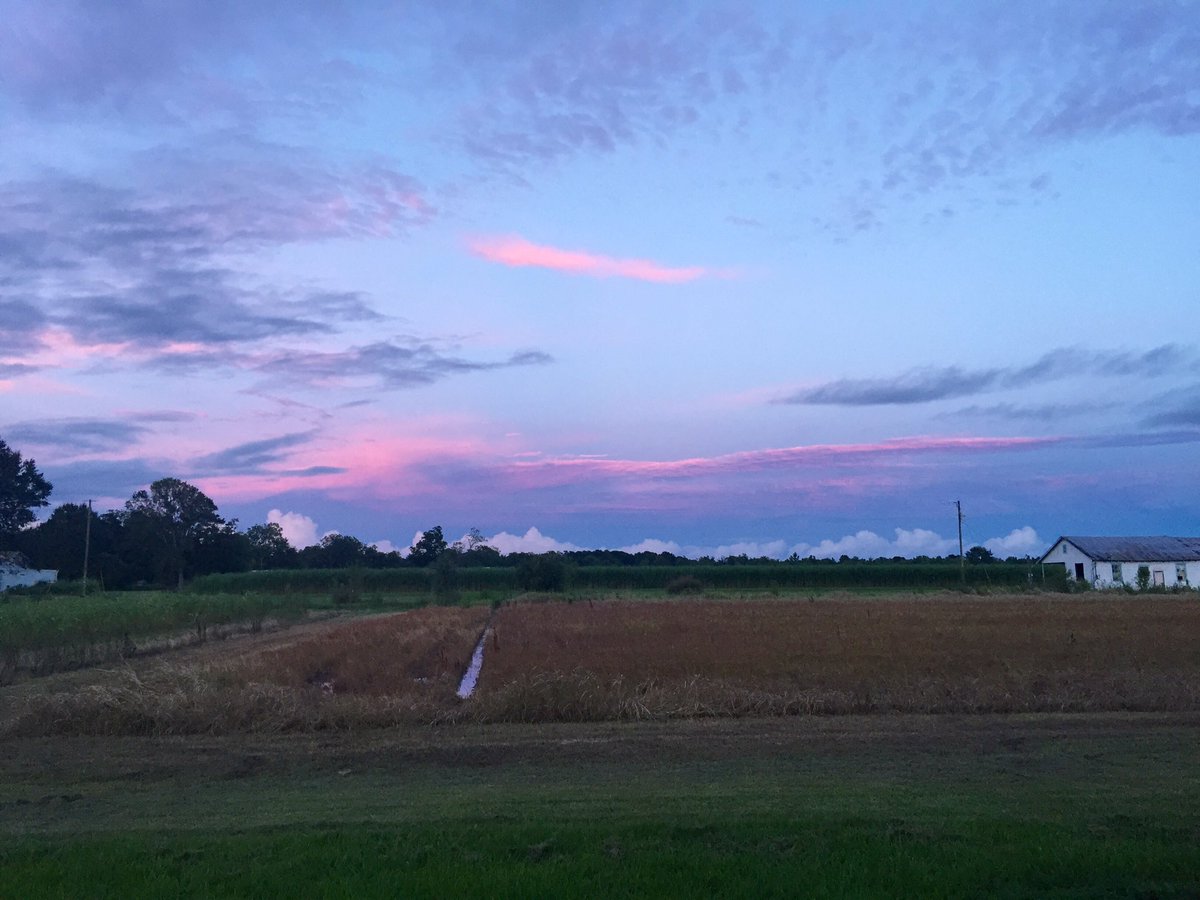 haileyrobichaux's tweet photo. Last night's sunset was real pretty🍃 https://t.co/NOIBL0pksT