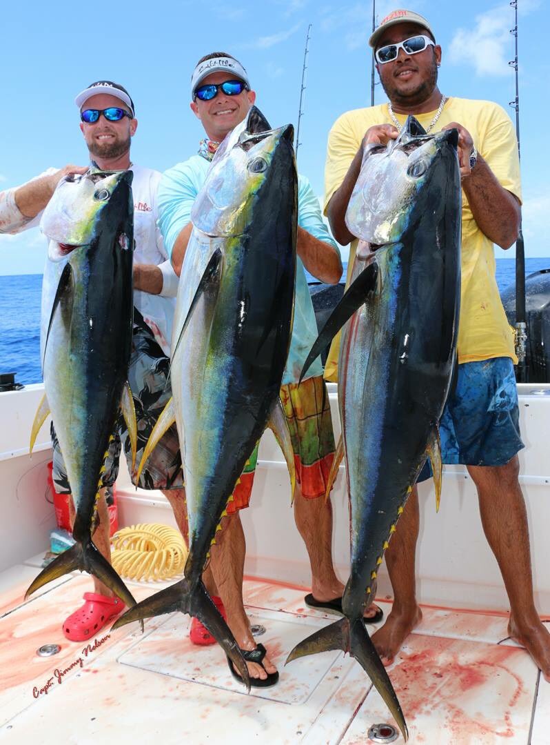 CaptJimmyNelson's tweet photo. Tuna Tuesday. @FishinwithLuiza @RealSaltLife @YO_ZURI @TUFLineOfficial @papaspilar @BassProShops @candhlures @EngelCoolers @CaptJimmyNelson https://t.co/bo4aATRxzt