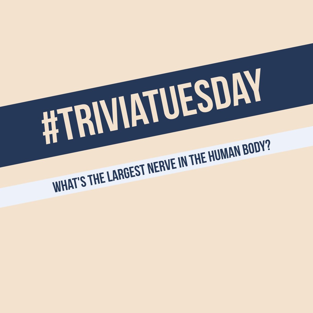 advancedptct's tweet photo. #triviatuesday #choosePT https://t.co/ALsF524Ctb