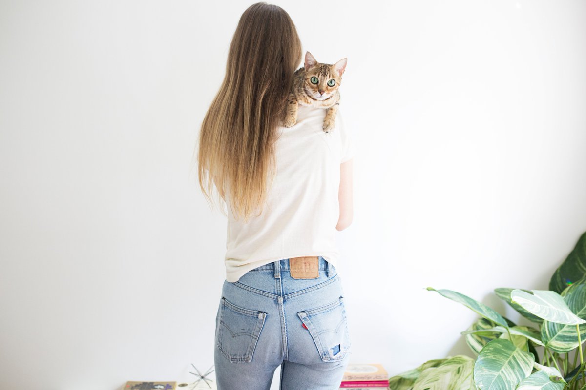 bleubirdblog's tweet photo. AN UPDATE ON BIJOU'S DIET https://t.co/3QXflYJZbV @IAMS #iamsdifference #partner https://t.co/sNWyD9Bqge