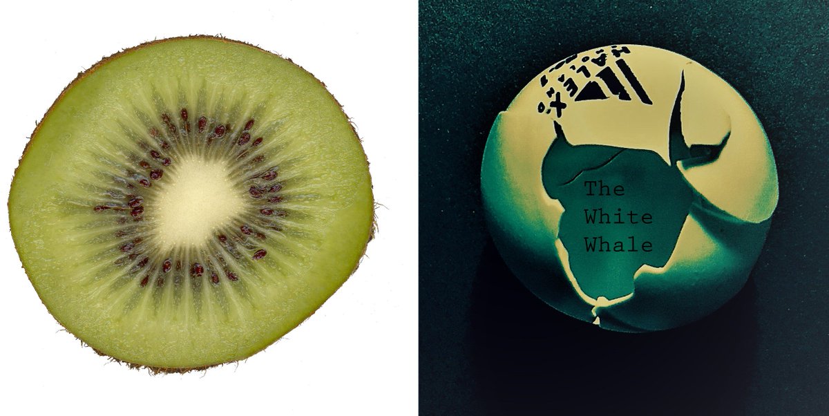 whitewhalepod's tweet photo. Yes, we did this, thanks to @helenzaltzman @AllusionistShow @radiotopia #podfruit #fruitcast #fruitopia https://t.co/iWLektkLnx